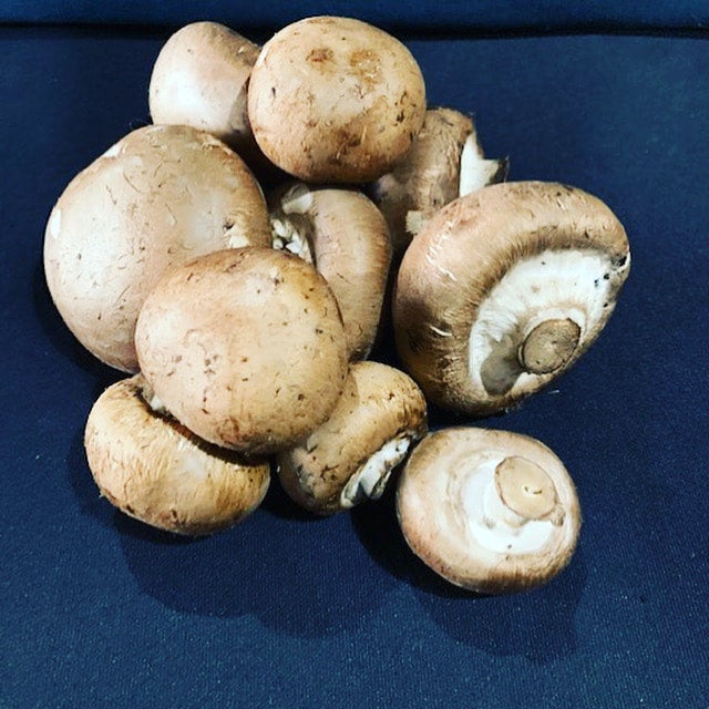 Baby Bella / Cremini Marley’s Mushrooms and Wild Foods